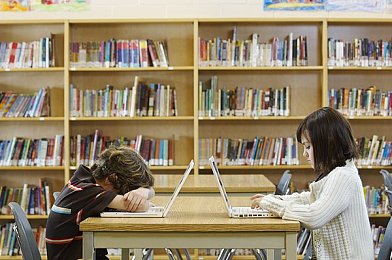 女人和公豬交交30,惊人事件：女子抑郁下与公猪“亲密”30分钟-1