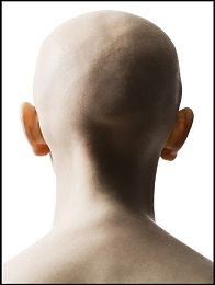 巡回检察组在线播放全集免费观看,法治剧集免费看，剧情悬疑引关注-1