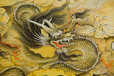 韩国黑人又粗又大的性格特点,韩黑人独特性格影响社会，揭秘“又粗又大”的魅力