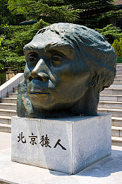 纯肉按摩器高H办公室,办公室新宠，缓解疲劳神器-1