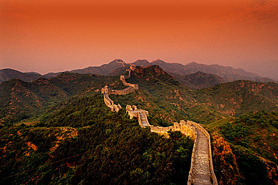 丁丁一进一出动态图:可爱丁丁走红网络,幽默短视频成生活调味品-1