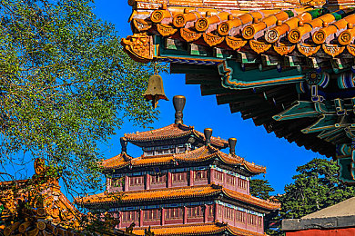 船到码头车到站意思,都市奋斗，信念铸就成功之路