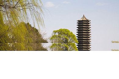 给客人带路应该走哪边,都市导览：左右之道，游客体验大不同-1