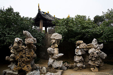 黄软件下载：神秘“黄软件”下载攻略，一招轻松上手！-2