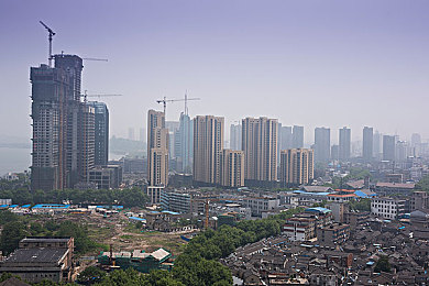GOGOGO高清直播:直播盛宴:GOGOGO高清领跑潮流-1