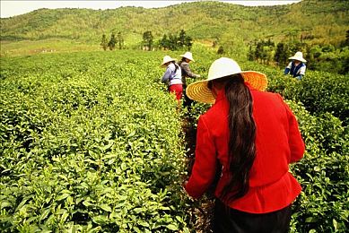 黑人巨粗进入范冰冰：明星公益互动引热议，温情时刻曝光-1