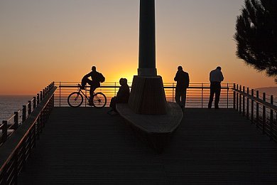 狗蛋回忆录全文免费,回忆录揭秘：普通人的酸甜苦辣-1