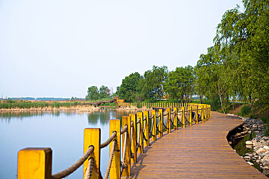出差旅行戴帽子的老板：企业家帽影：出差路上的独特风景-3