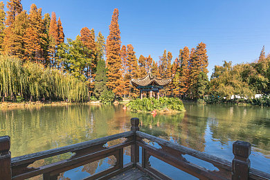 郑州大学占地面积主校区,郑大主校区：河南高校的绿色明珠-1