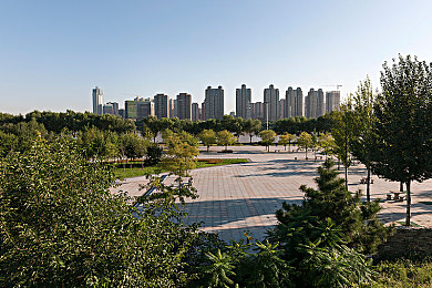 人 上面 下边久久久,揭秘我国新网络安全技术，守护数字时代安全-3