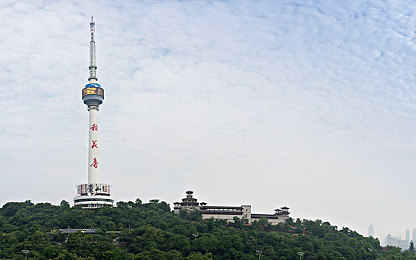 黄色APP网站下载：揭秘：“神秘”APP下载方法，功能亮点大曝光-1