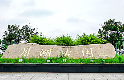 厨房春潮唐小米,家庭主妇变身美食达人，春日厨房掀起热潮-1