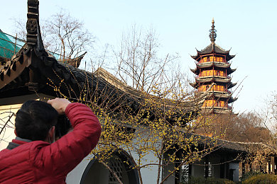 不知火舞和3孩公园h,网红打卡新地标，3孩公园人气旺-4