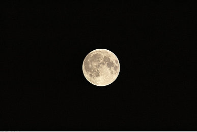 阿娇与冠希13分26秒的背景故事：明星风波后：甜蜜爱情终章-4