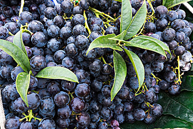 黑料吃瓜不打烊：娱乐圈夜猫子，揭秘“黑料”热狂潮-4