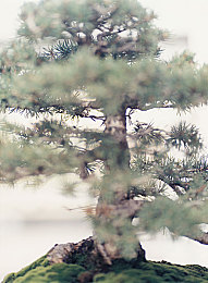 国产视频乱伦自拍五月,惊曝：未成年乱伦视频事件，社会伦理底线再遭挑战-3