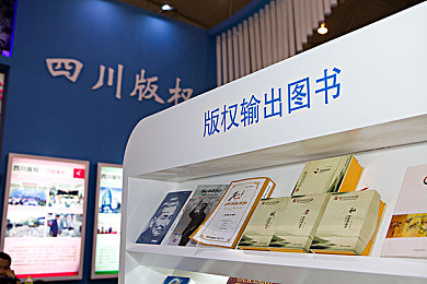 收一切流亮万ip三迁到五迁～电保,数据中心IP升级，保障力再升级-4