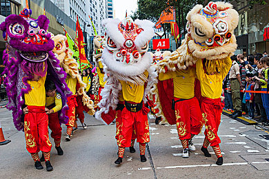 一个人看的WWW免费视频：免费高清影视，一键直达！-5