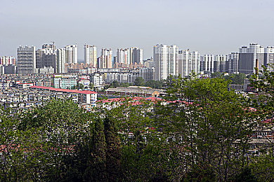 霸爱顾萌萌陆司宸兔费阅读,爱情故事引关注，免费阅读引热潮
