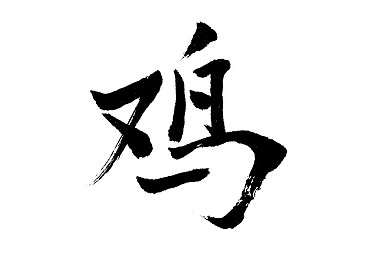 1688plus会员有必要开吗,电商会员服务揭秘：值不值得开通？-1