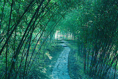揉我胸 啊 嗯～下面出水：胸部按摩奇效，体验者“下面出水”引关注-3