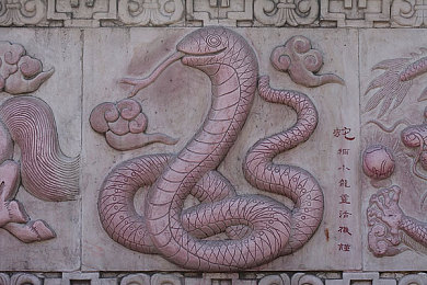 挽起裙子：《神秘新游》引关注，勇者冒险之旅即将开启-2
