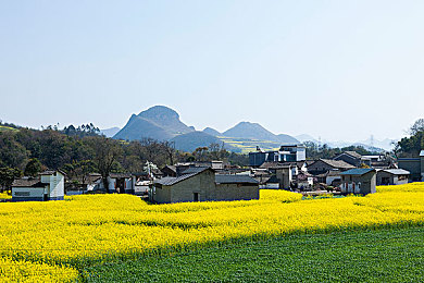 欧洲一区二区：欧洲楼市复苏，两地表现抢眼-3