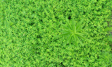 陈冠希用嘴把阿娇高潮细节：游戏主播意外“高潮”，直播场面逗笑网友-3