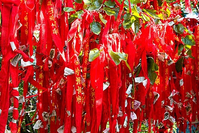 广西短发女与黑帽门最新进展新闻,神秘组织绑架案告破，广西女子安全归来-3