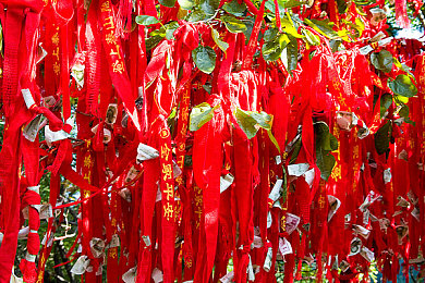 禁用的10大软件：揭秘禁用软件：十大隐患应用曝光-5
