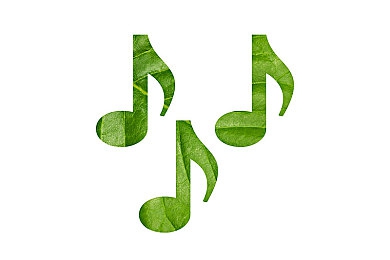 五月天丁香花：校园音乐谜案，解密《丁香花》传奇-4