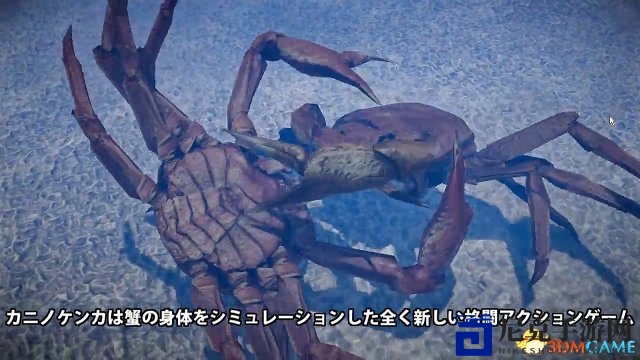 《螃蟹大战》