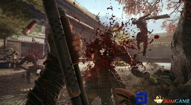 《影子武士2》再现惊险瞬间，畅爽实况视频惊艳登场